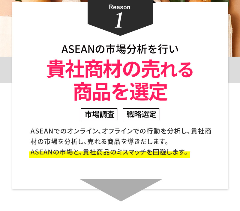 ASEANでのオンライン、オフラインでの行動を分析し、貴社商材の市場を分析し、売れる商品を導きだします。ASEANの市場と、貴社商品のミスマッチを回避します。